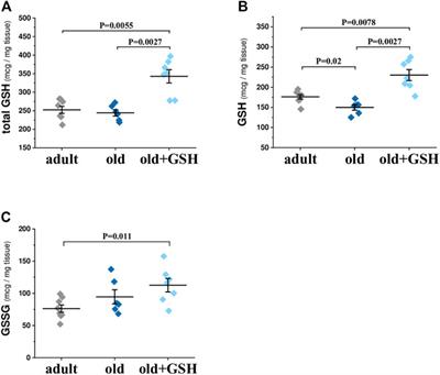 Glutathione restores the mitochondrial redox status and improves the function of the cardiovascular system in old rats